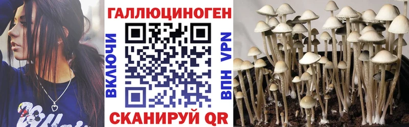 Галлюциногенные грибы GOLDEN TEACHER Хилок
