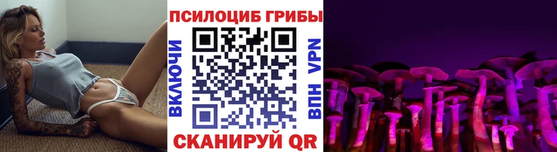 Галлюциногенные грибы Psilocybine cubensis  хочу наркоту  Хилок 